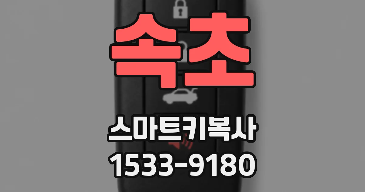 속초 스마트키복사