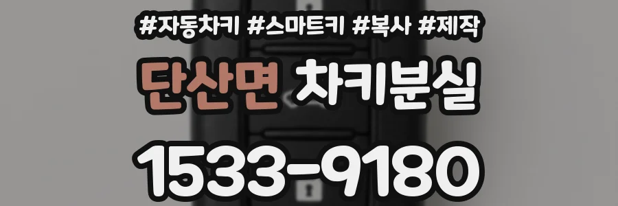 단산면 차키분실