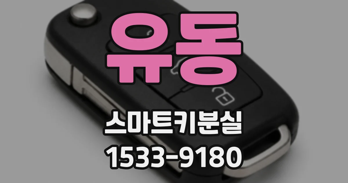 유동 스마트키분실