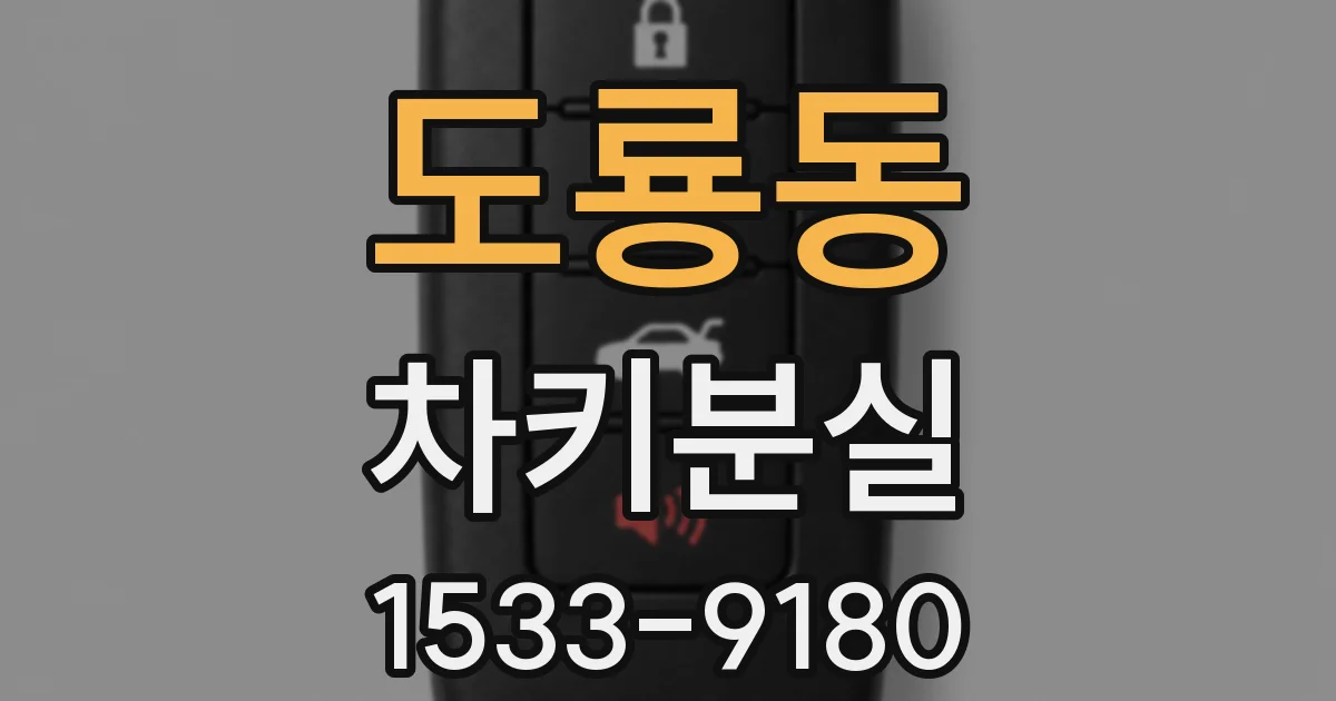도룡동 차키분실