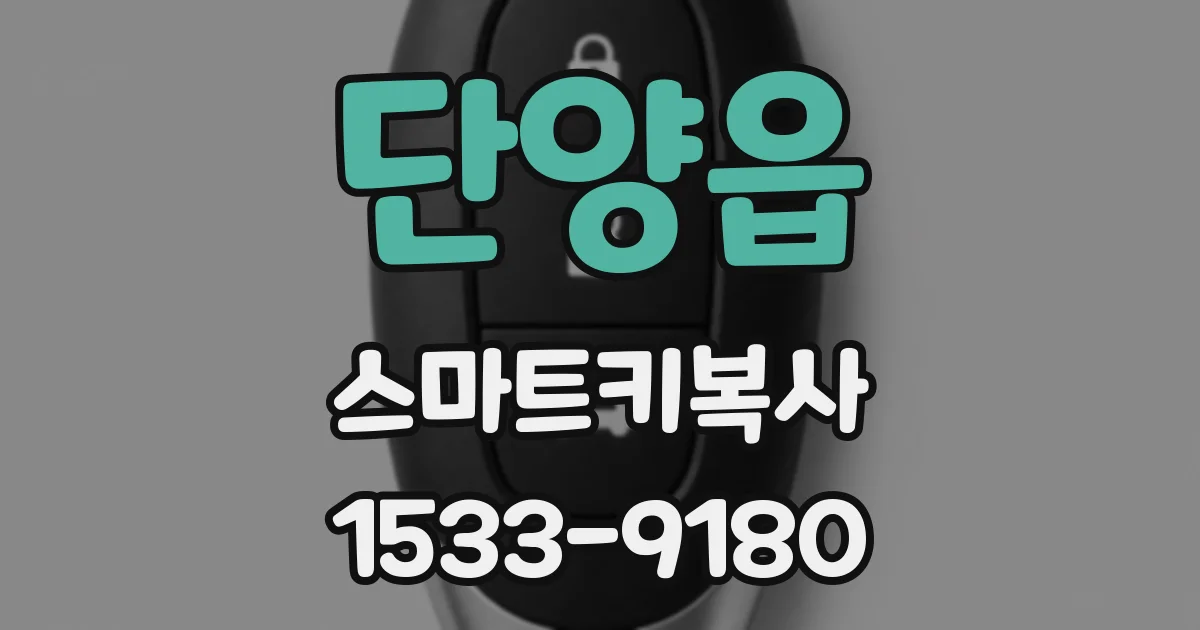 단양읍 스마트키복사