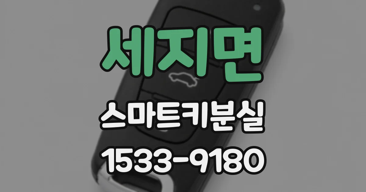 세지면 스마트키분실