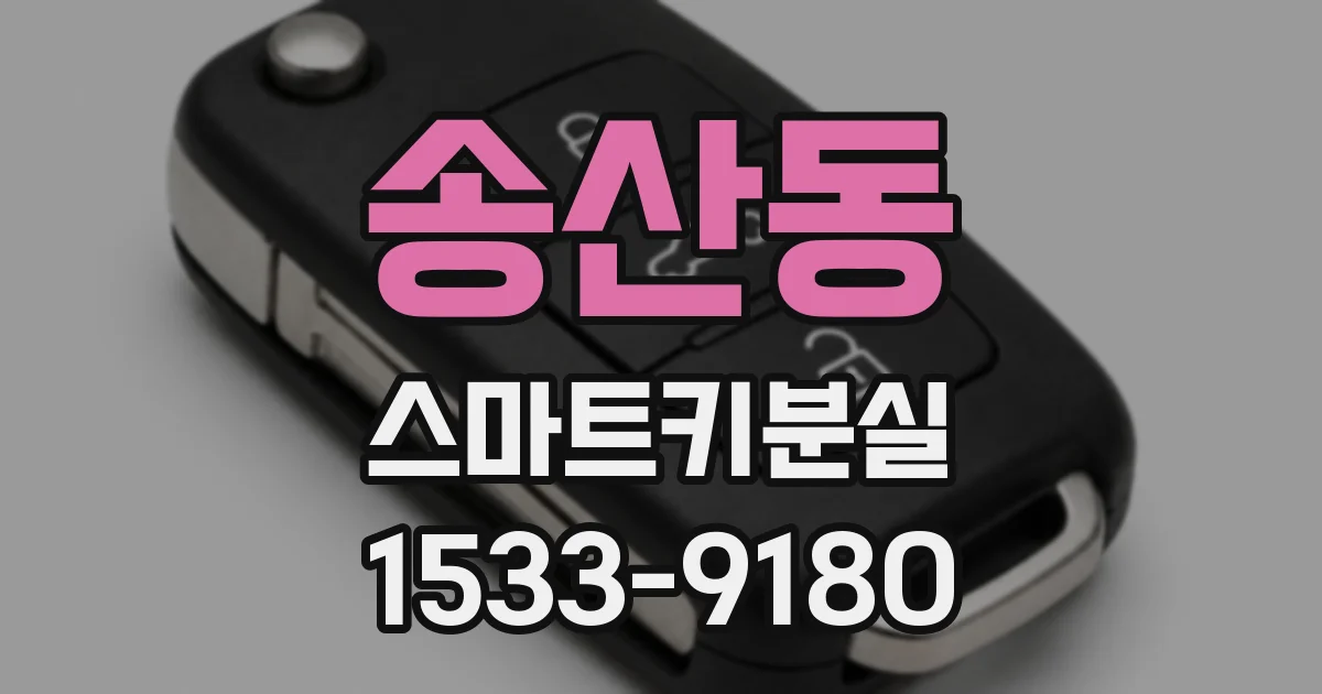 송산동 스마트키분실
