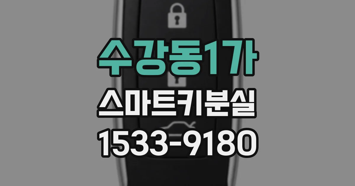수강동1가 스마트키분실