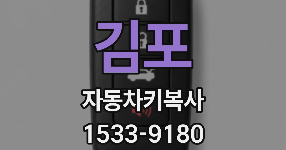 김포 자동차키복사