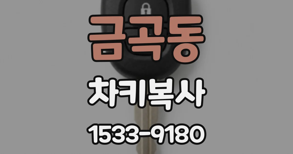 금곡동 차키복사