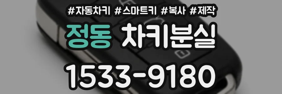 정동 차키분실