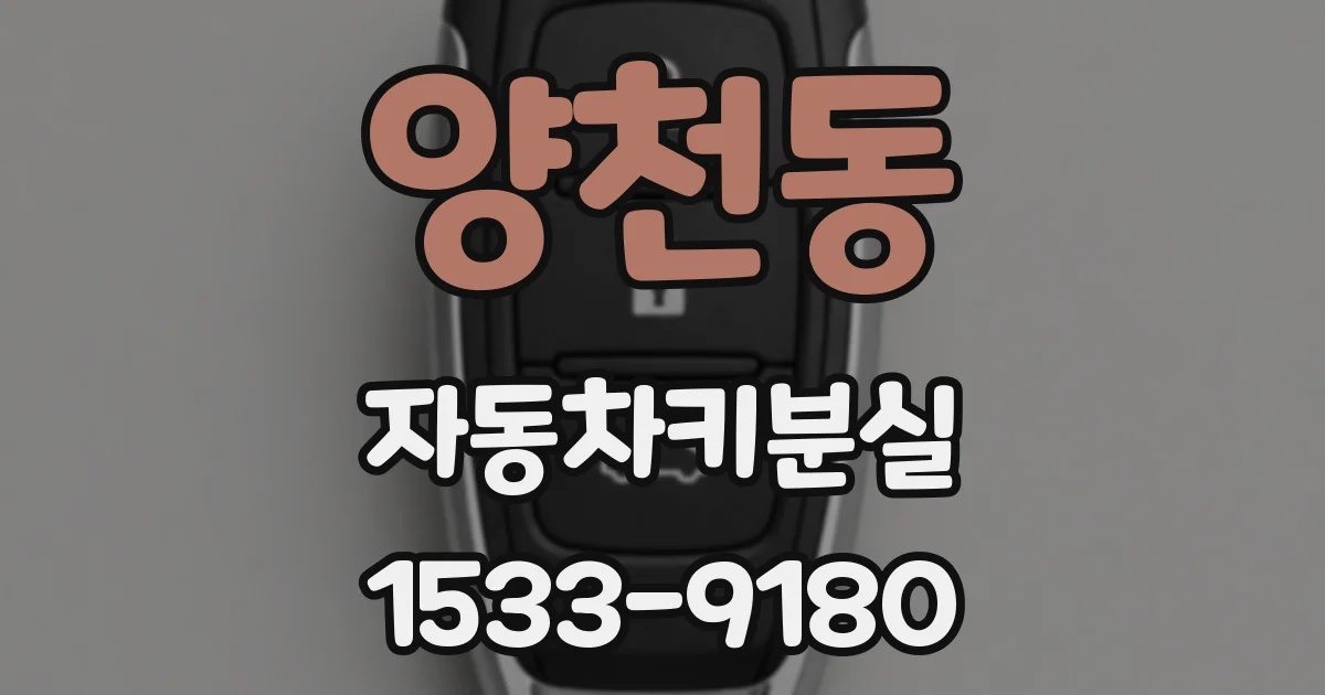 양천동 자동차키분실