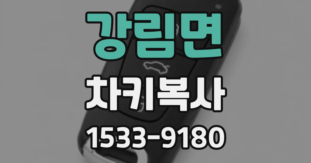 강림면 차키복사