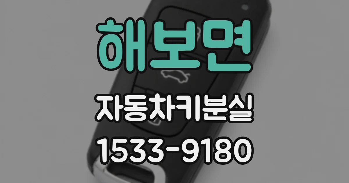 해보면 자동차키분실