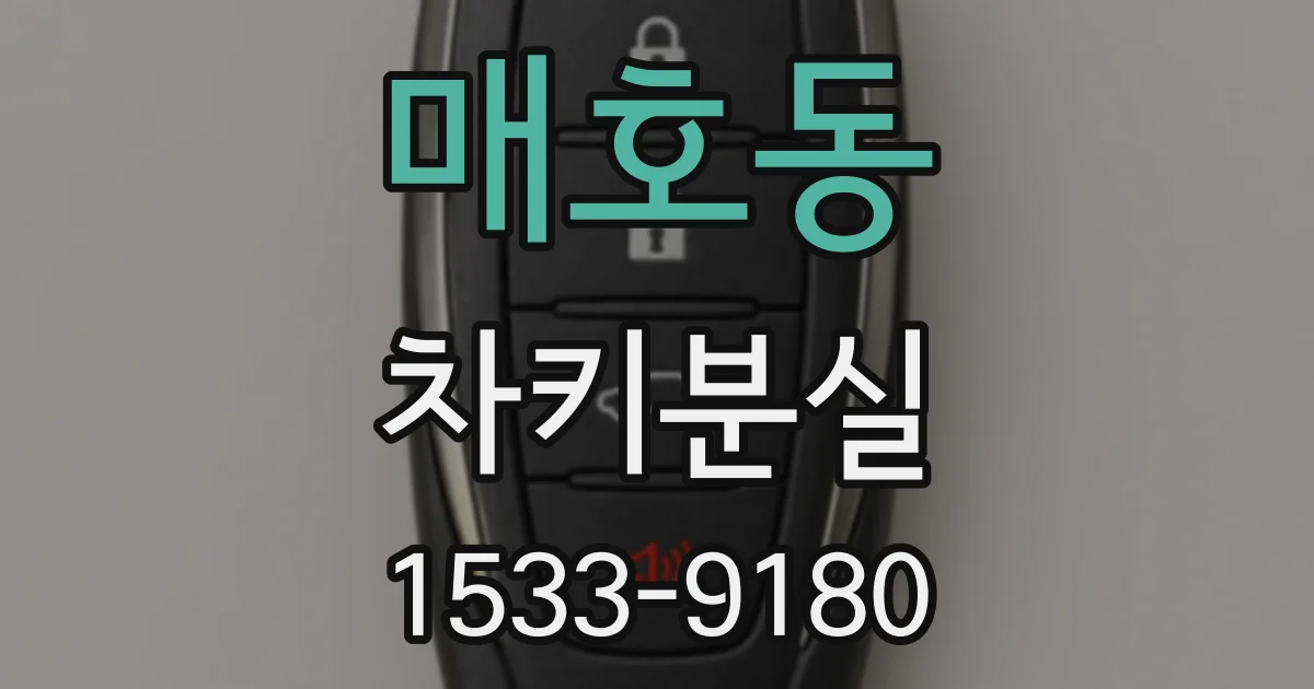 매호동 차키분실
