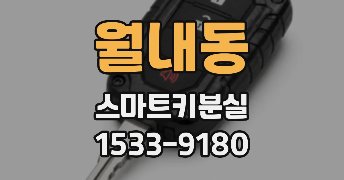 월내동 스마트키분실