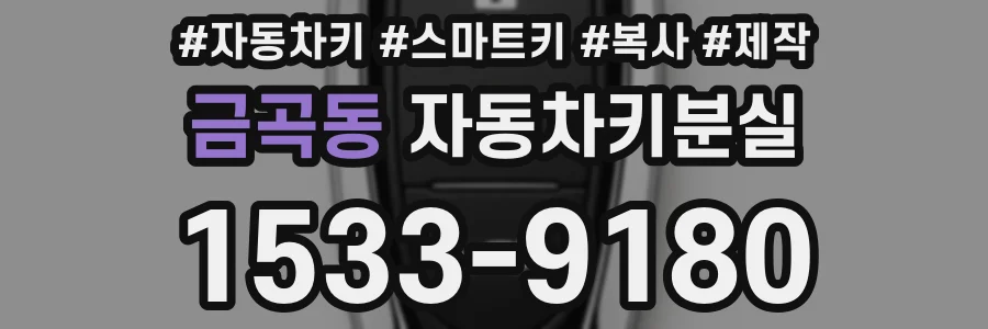 금곡동 자동차키분실