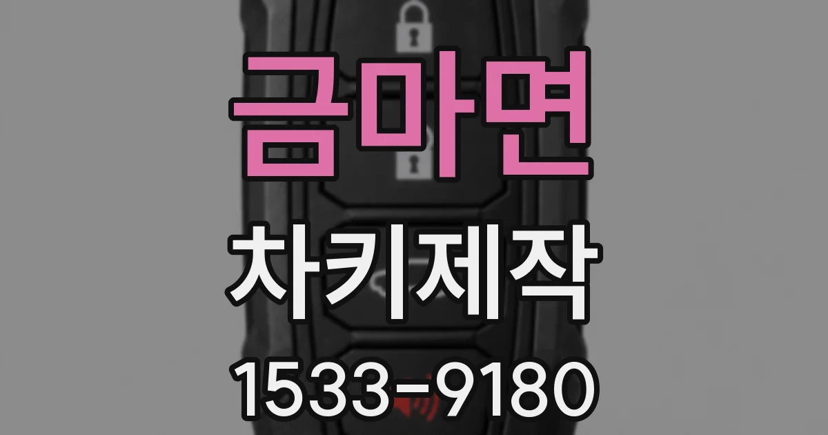 금마면 차키제작