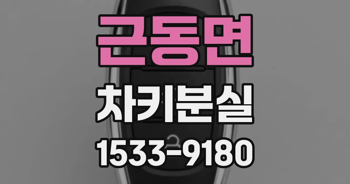 근동면 차키분실