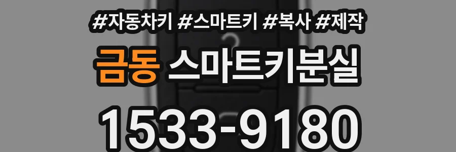 금동 스마트키분실