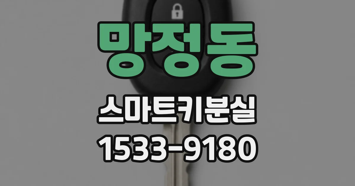 망정동 스마트키분실