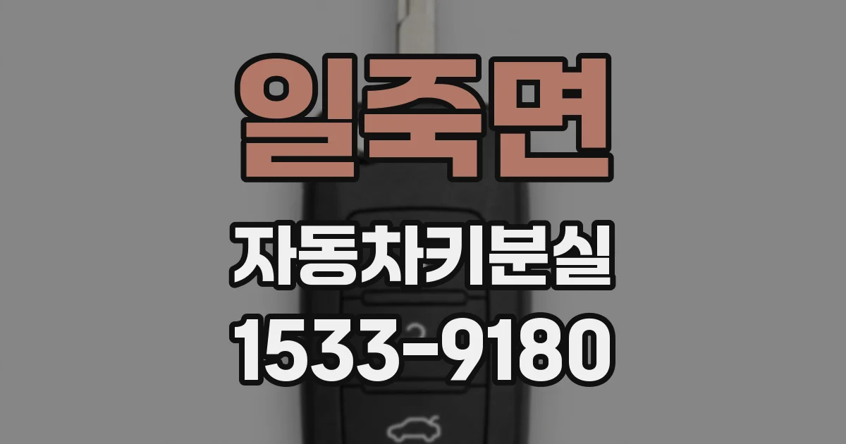 일죽면 자동차키분실