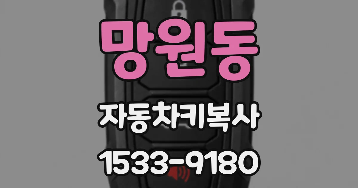 망원동 자동차키복사