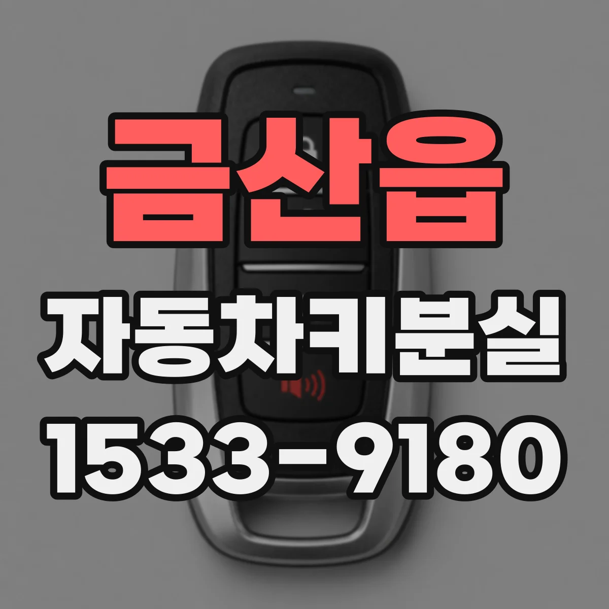 금산읍 자동차키분실