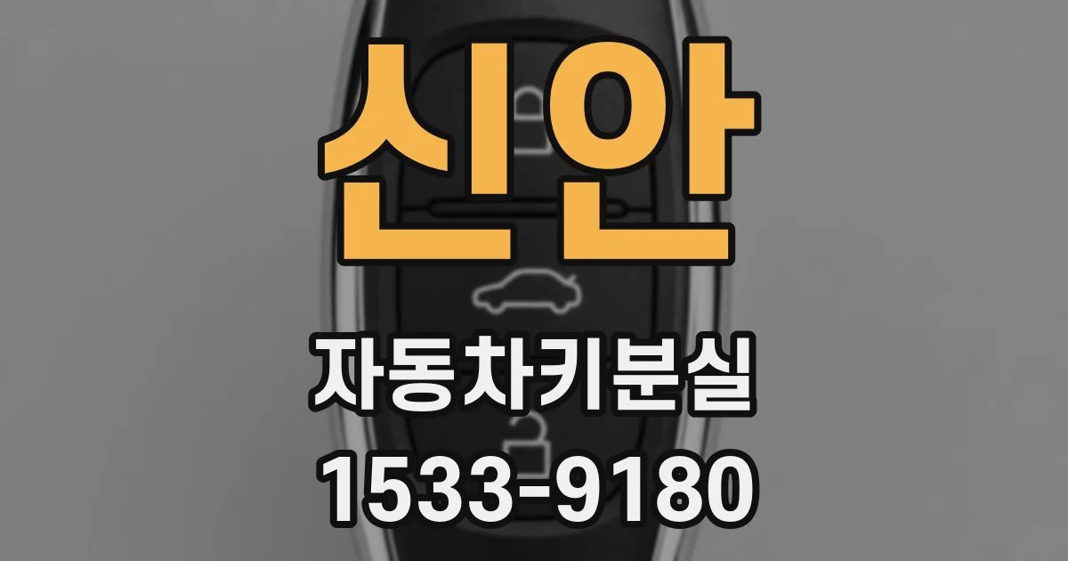 신안 자동차키분실