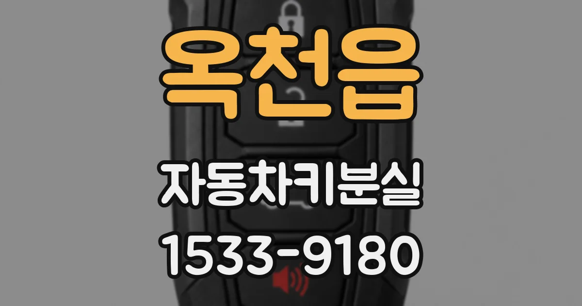 옥천읍 자동차키분실
