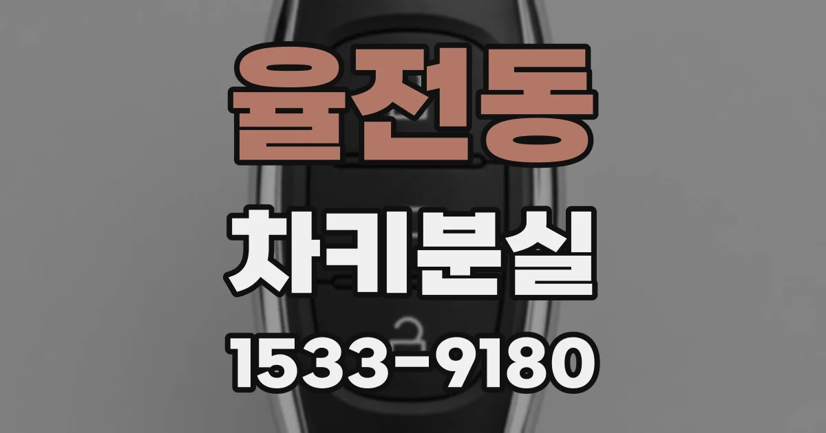 율전동 차키분실