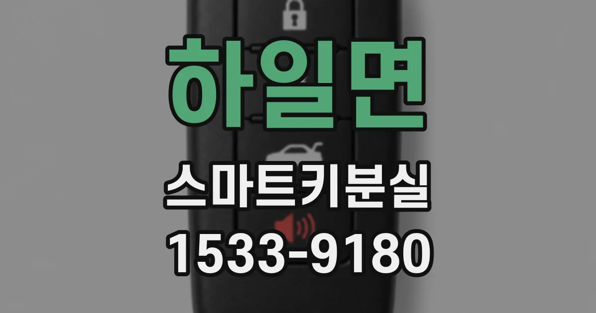 하일면 스마트키분실