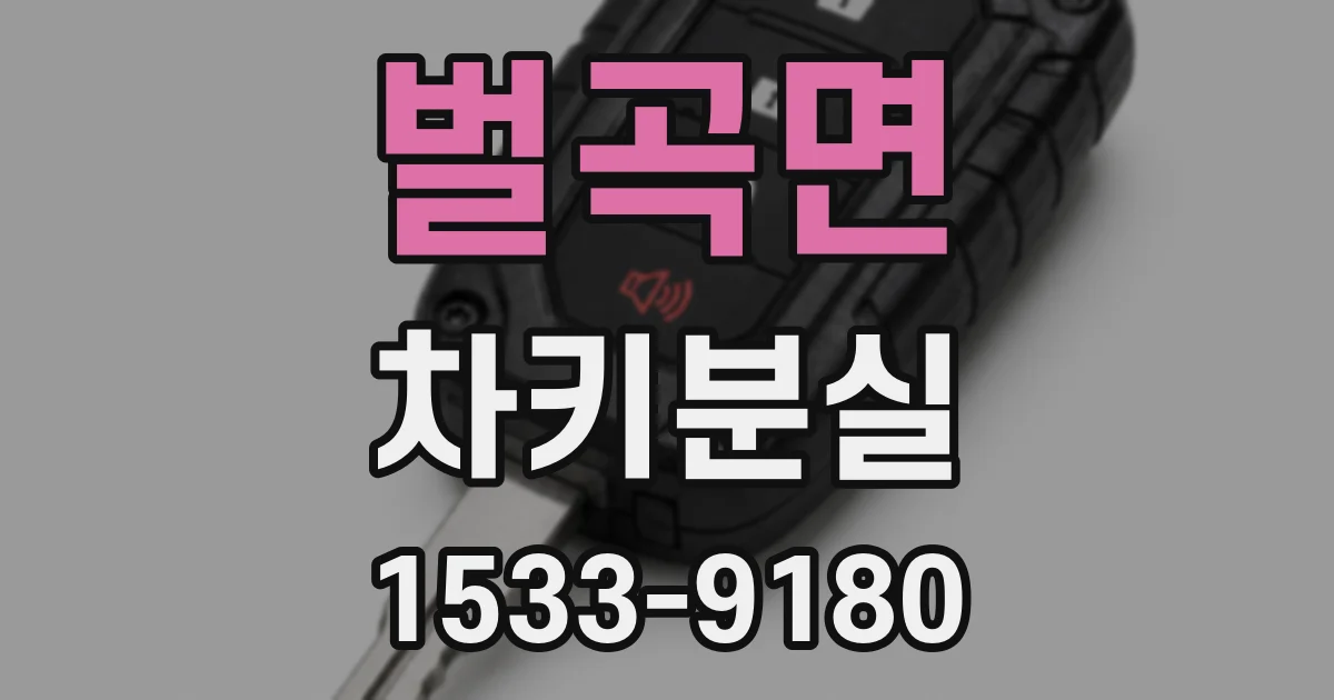 벌곡면 차키분실