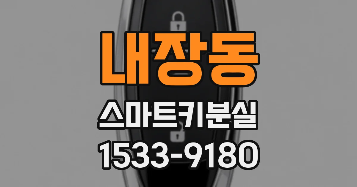 내장동 스마트키분실