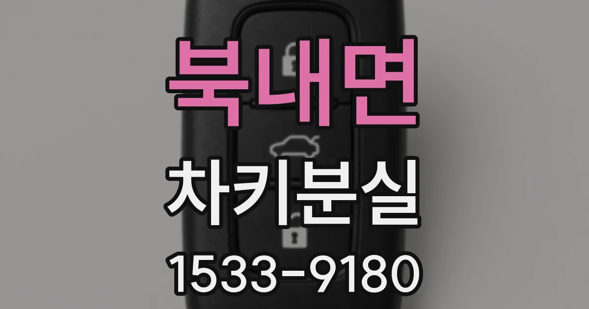 북내면 차키분실