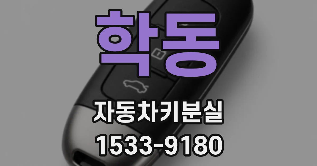 학동 자동차키분실