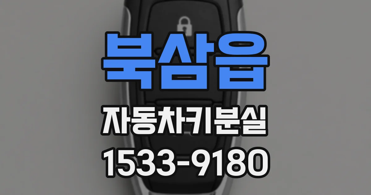 북삼읍 자동차키분실