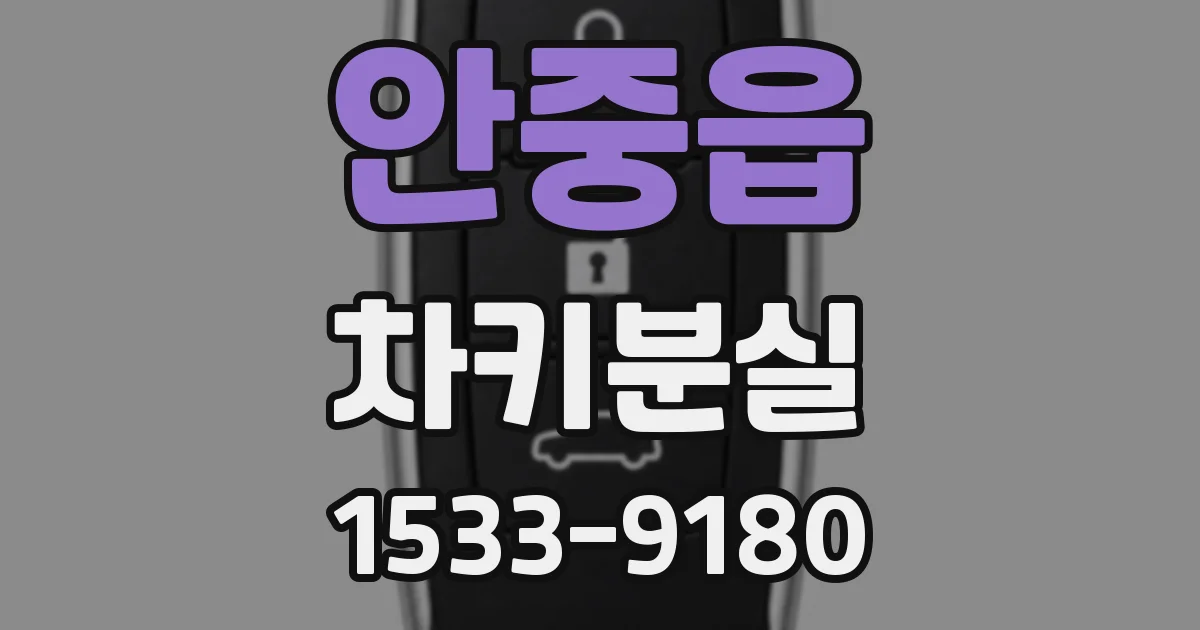 안중읍 차키분실