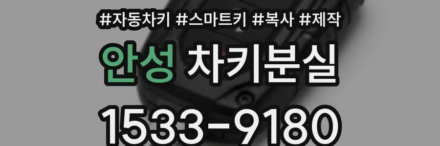 안성 차키분실