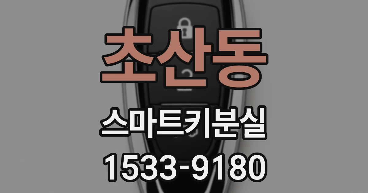 초산동 스마트키분실