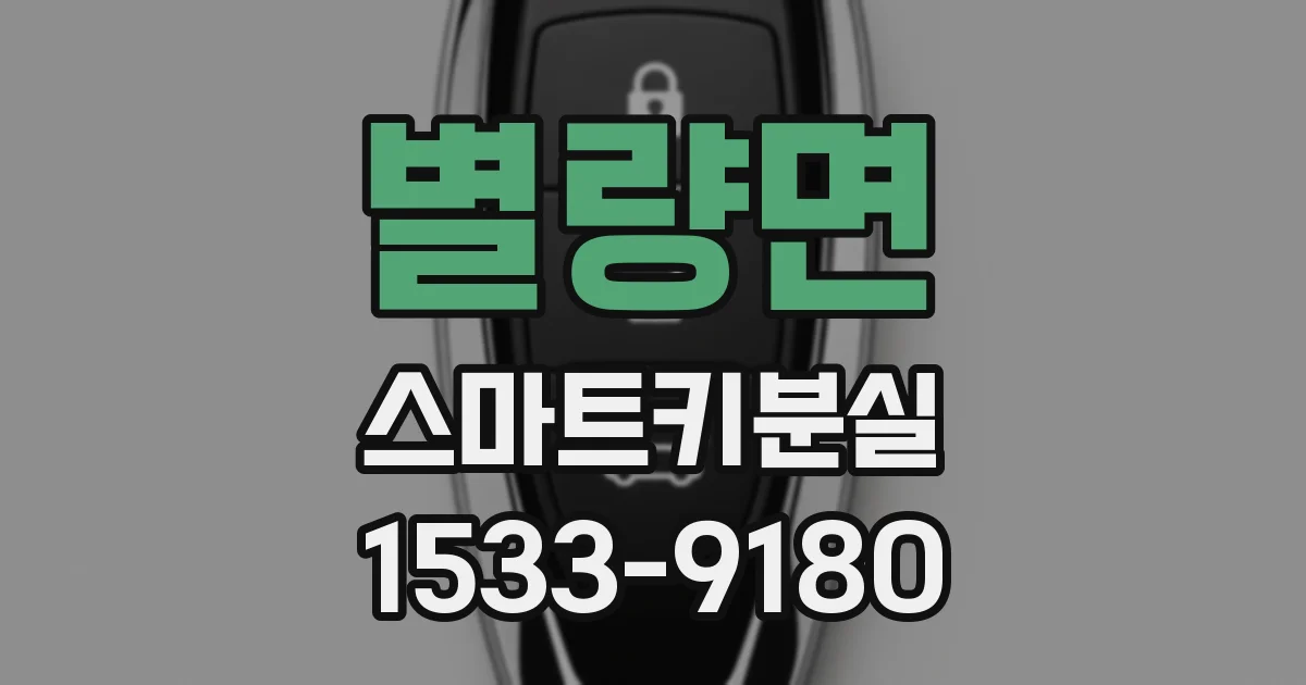 별량면 스마트키분실