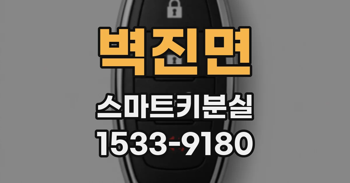 벽진면 스마트키분실