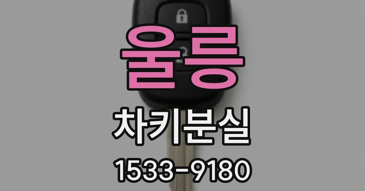 울릉 차키분실