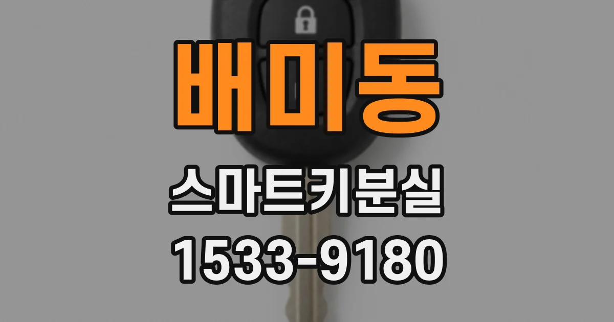 배미동 스마트키분실