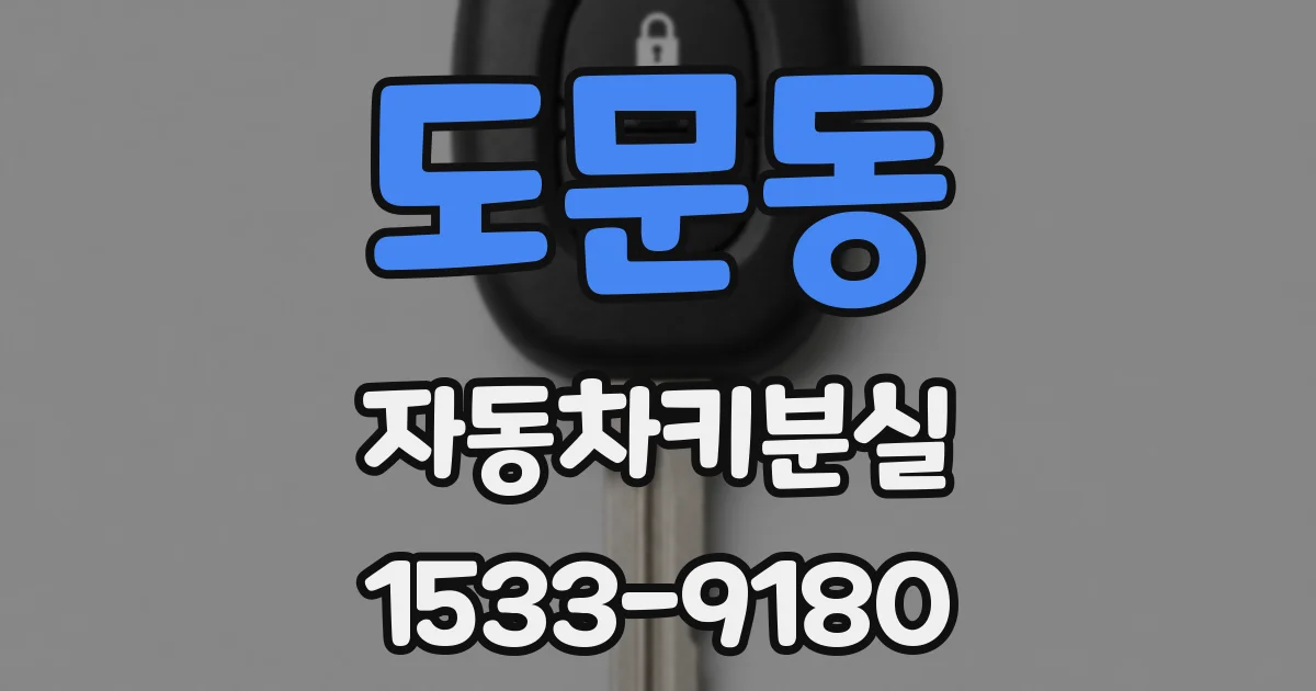 도문동 자동차키분실
