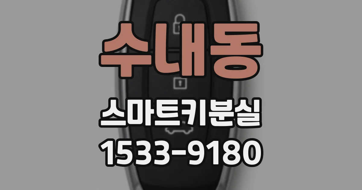 수내동 스마트키분실