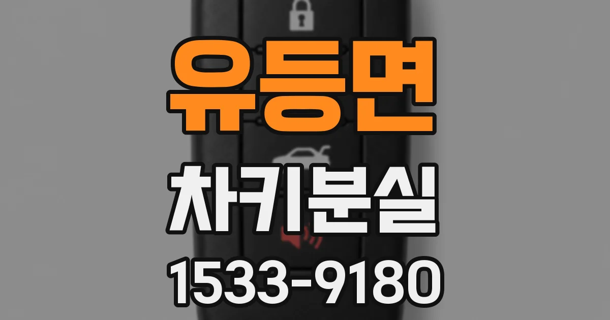 유등면 차키분실