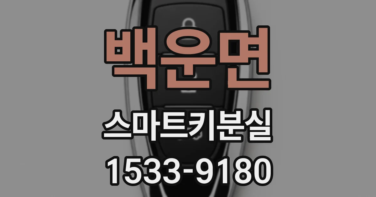 백운면 스마트키분실