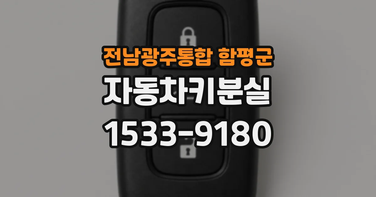 전남광주통합 함평군 자동차키분실