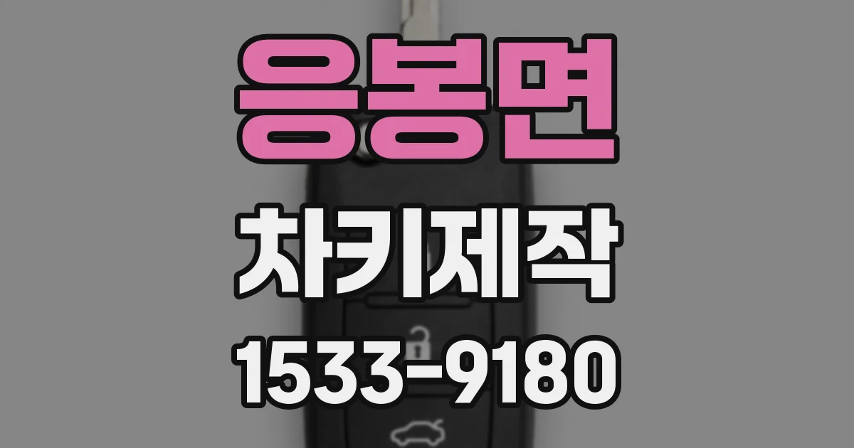 응봉면 차키제작