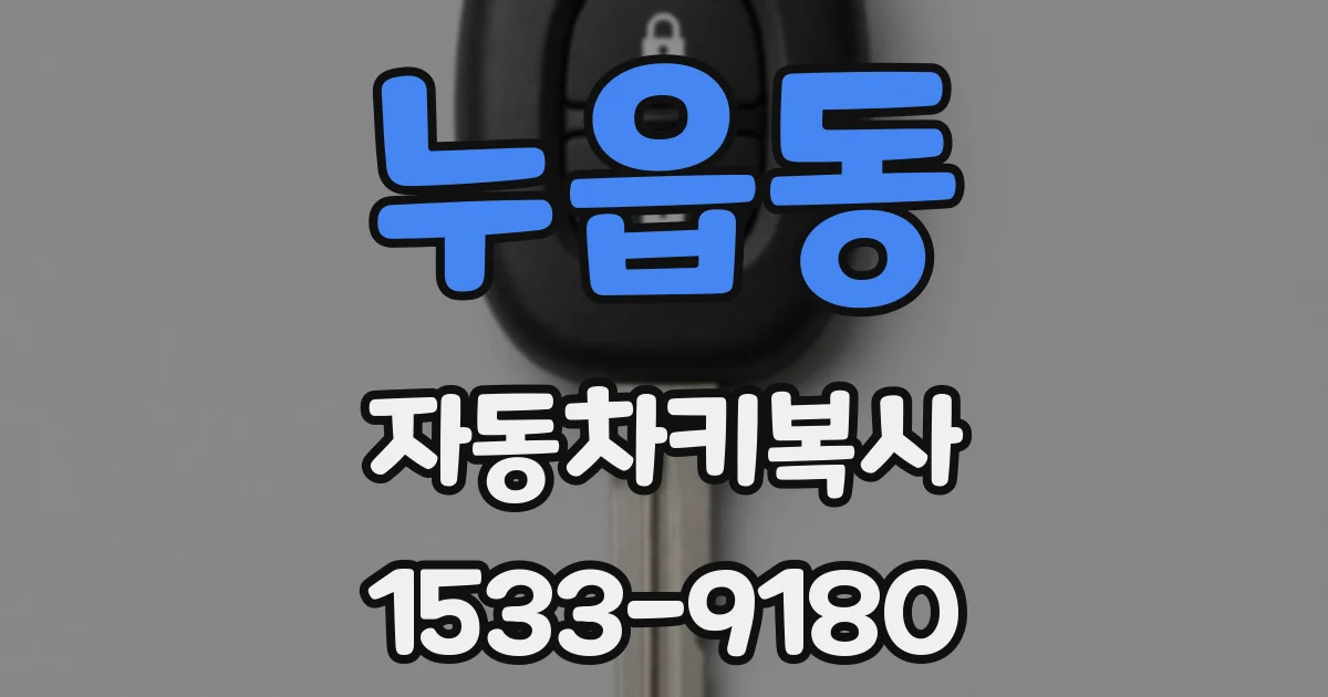 누읍동 자동차키복사