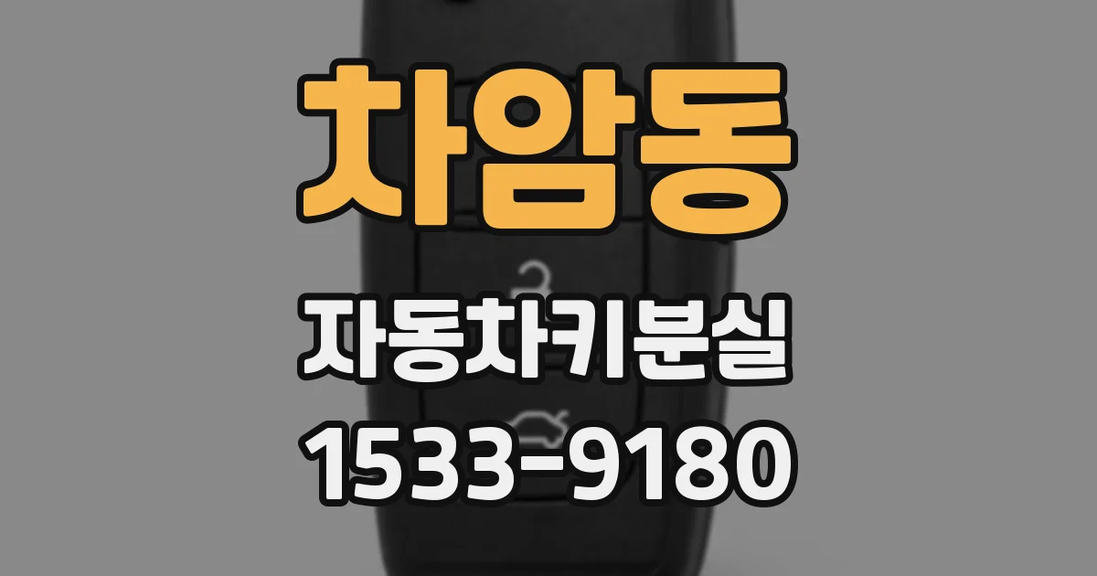 차암동 자동차키분실