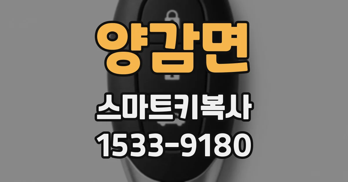양감면 스마트키복사