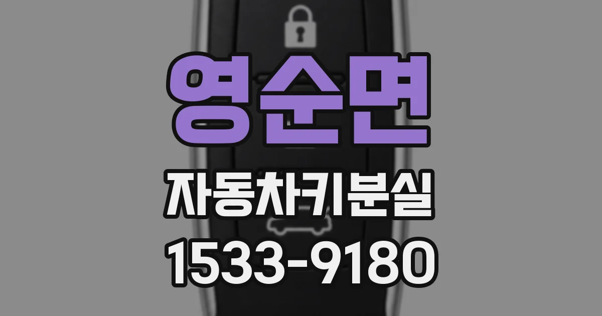 영순면 자동차키분실